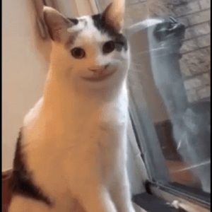 Meet your Posher, Rob